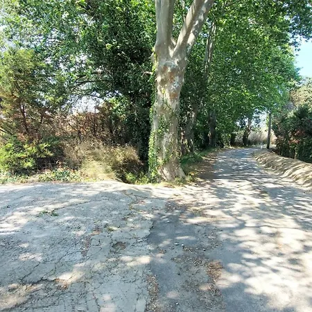 Apartment Soleil Catalan 50m2 , 2km Jardin Wifi Parking 2ch 4pers Cheque Vacance Elne