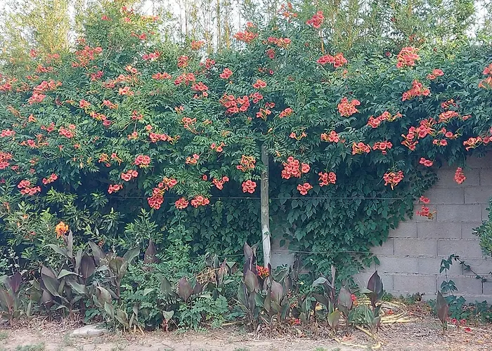 Soleil Catalan 50m2 , 2km Jardin Wifi Parking 2ch 4pers Cheque Vacance Διαμέρισμα
